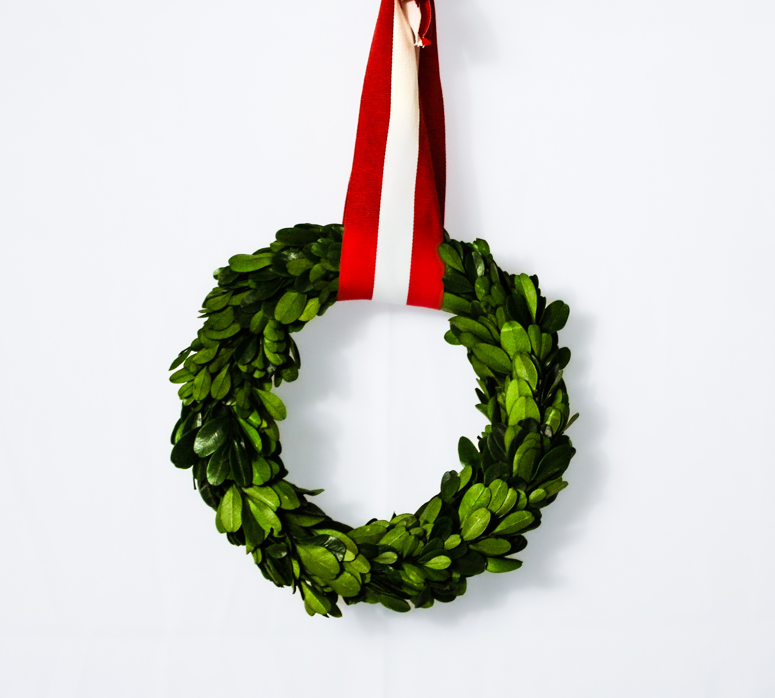 Preseved Boxwood Mini Wreath curated by Beehive Homes
